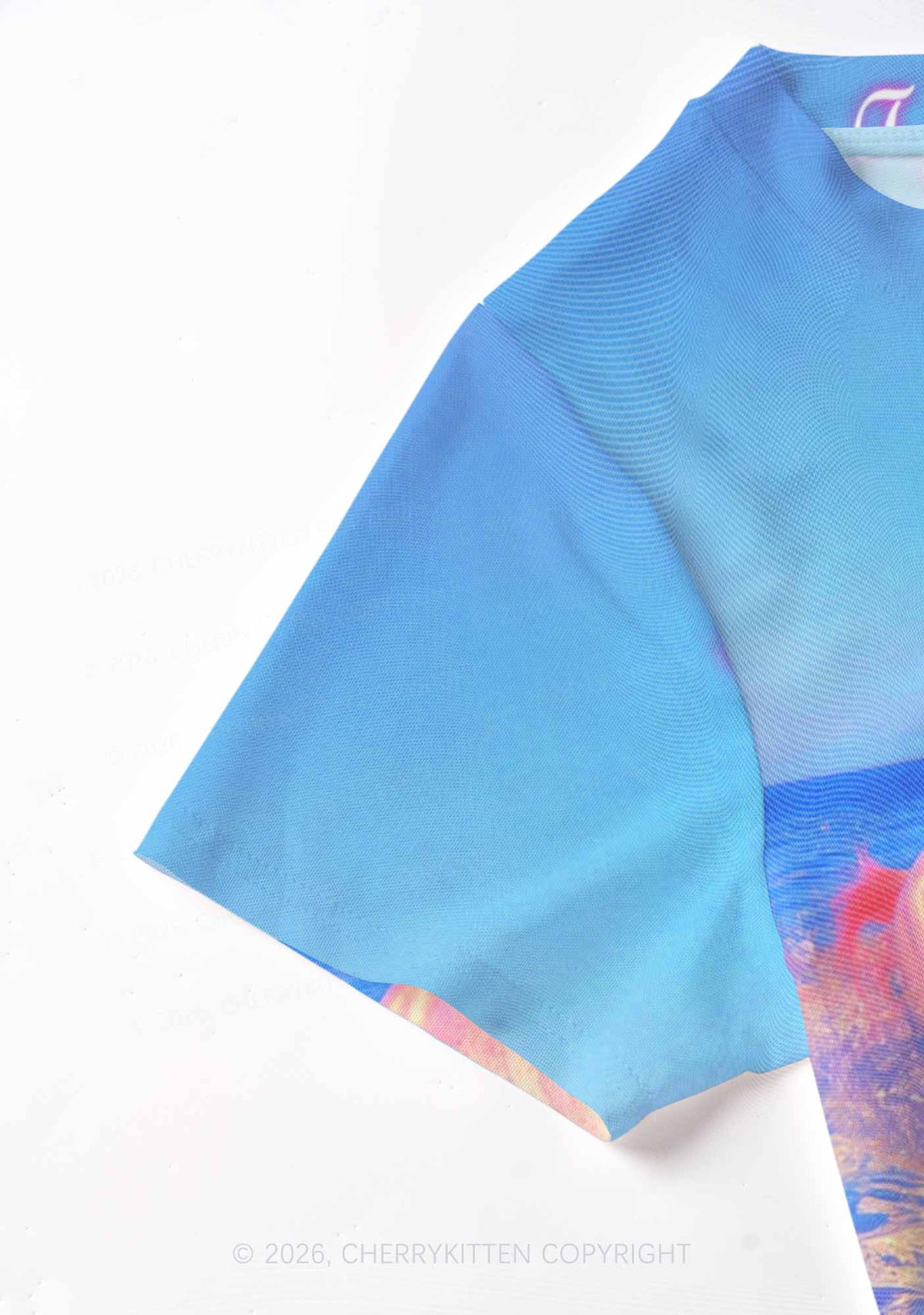 Blue Fag Princess Horse Pride Y2K Mesh Crop Top Cherrykitten