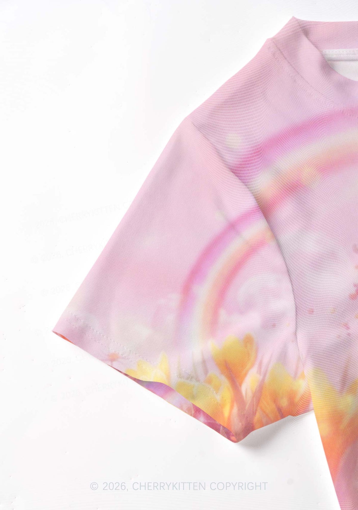 Rainbow Raccoon Pride Y2K Mesh Crop Top Cherrykitten