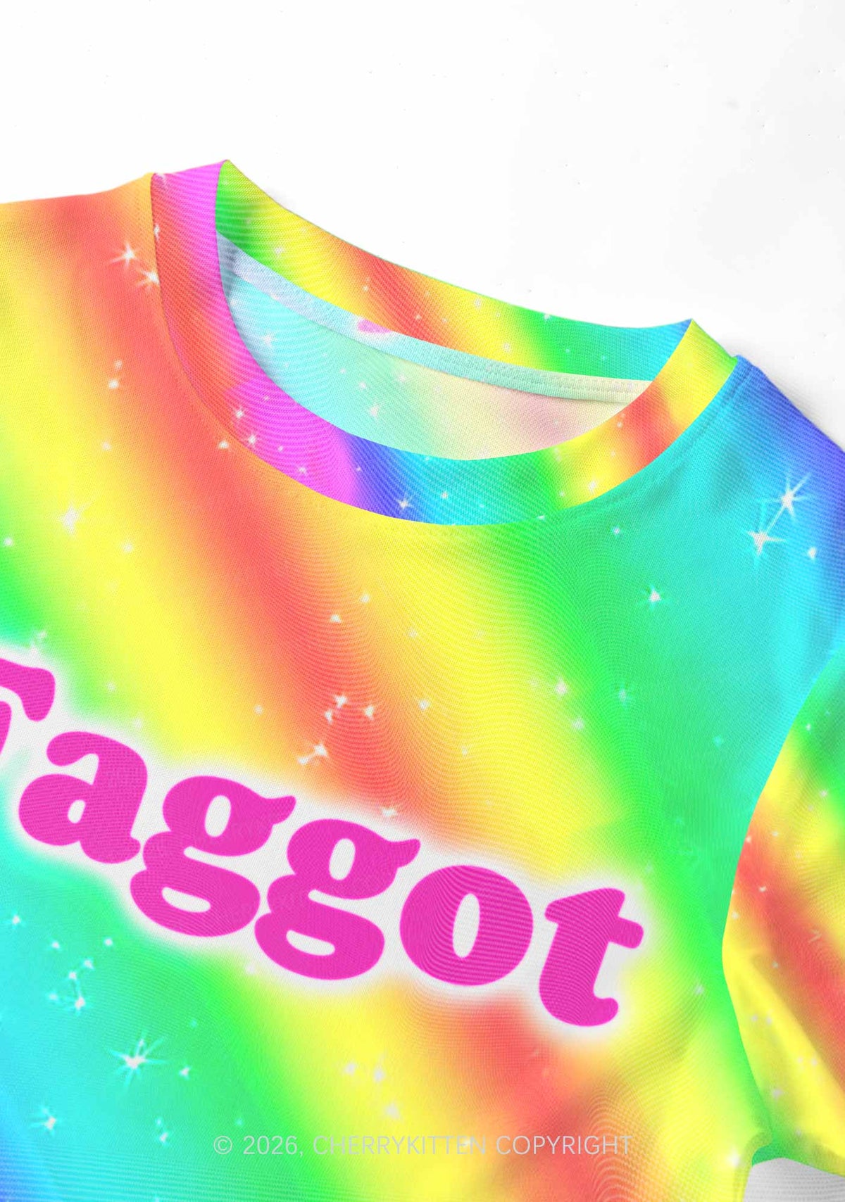 Rainbow Slide Faggot Pride Y2K Mesh Crop Top Cherrykitten