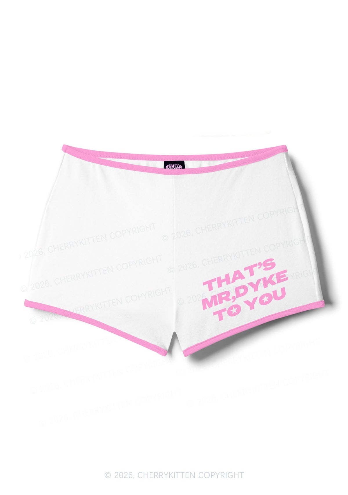 Thats Mr Dyke To You Pride Y2K Booty Shorts Cherrykitten