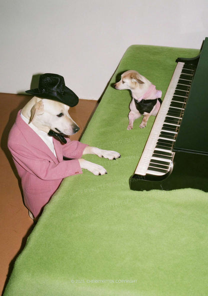 Piano Pups Y2K Mesh Crop Top Cherrykitten