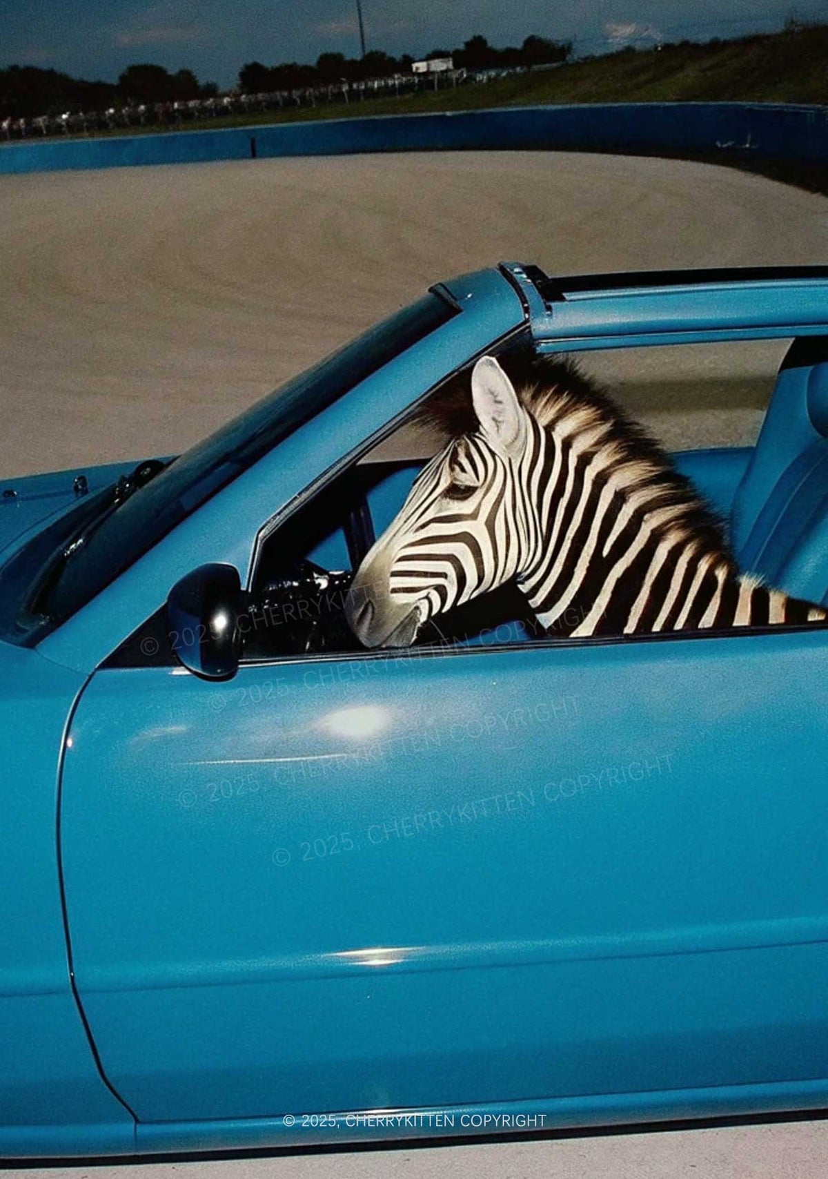 Zebra Driver Y2K Mesh Crop Top Cherrykitten