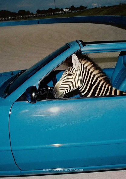 Zebra Driver Y2K Mesh Crop Top Cherrykitten