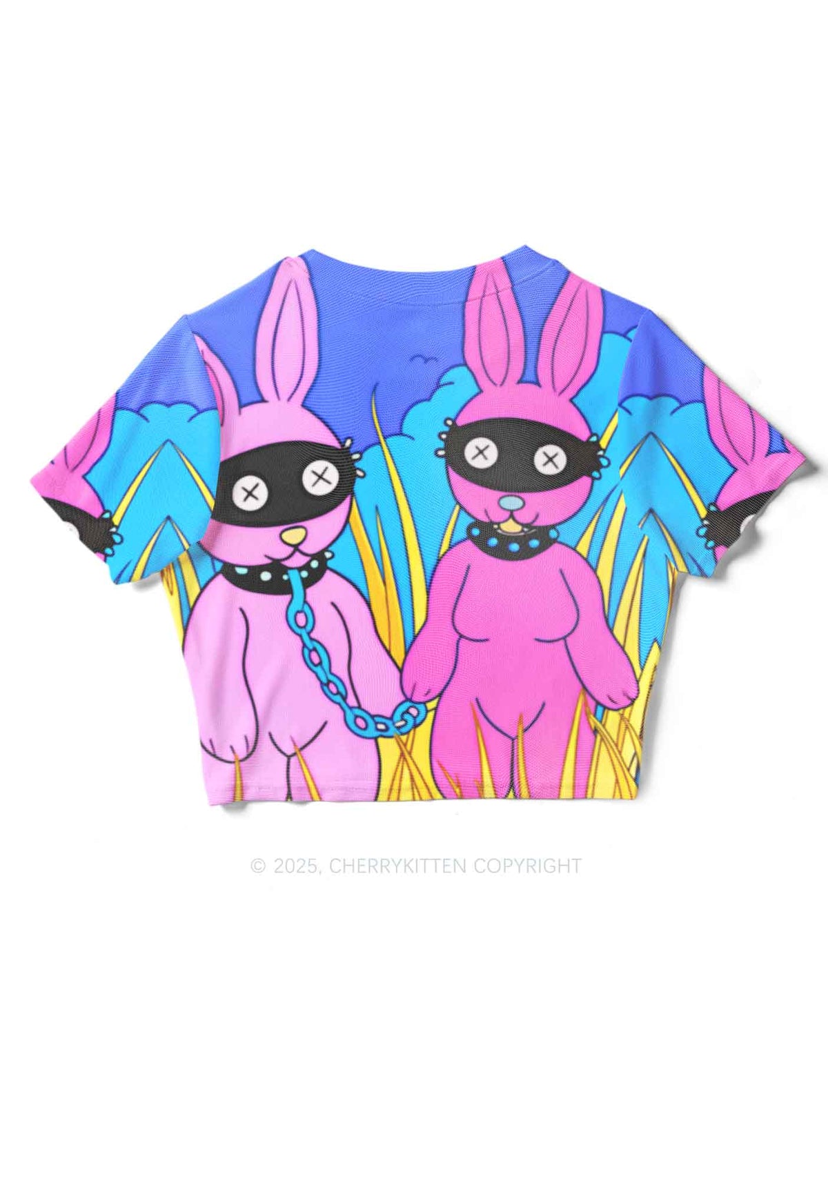 BDSM Bunny Y2K Mesh Crop Top Cherrykitten