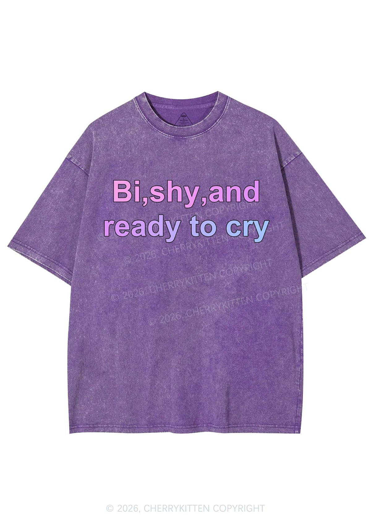 Bi Shy And Ready To Cry Pride Y2K Shirts Washed Tee Cherrykitten