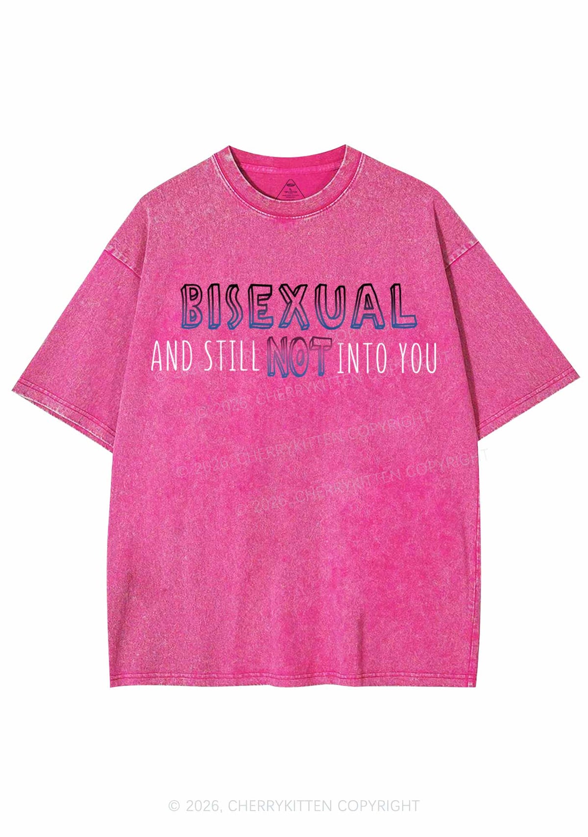 Bisexual And Still Not Into You Pride Y2K Shirts Washed Tee Cherrykitten