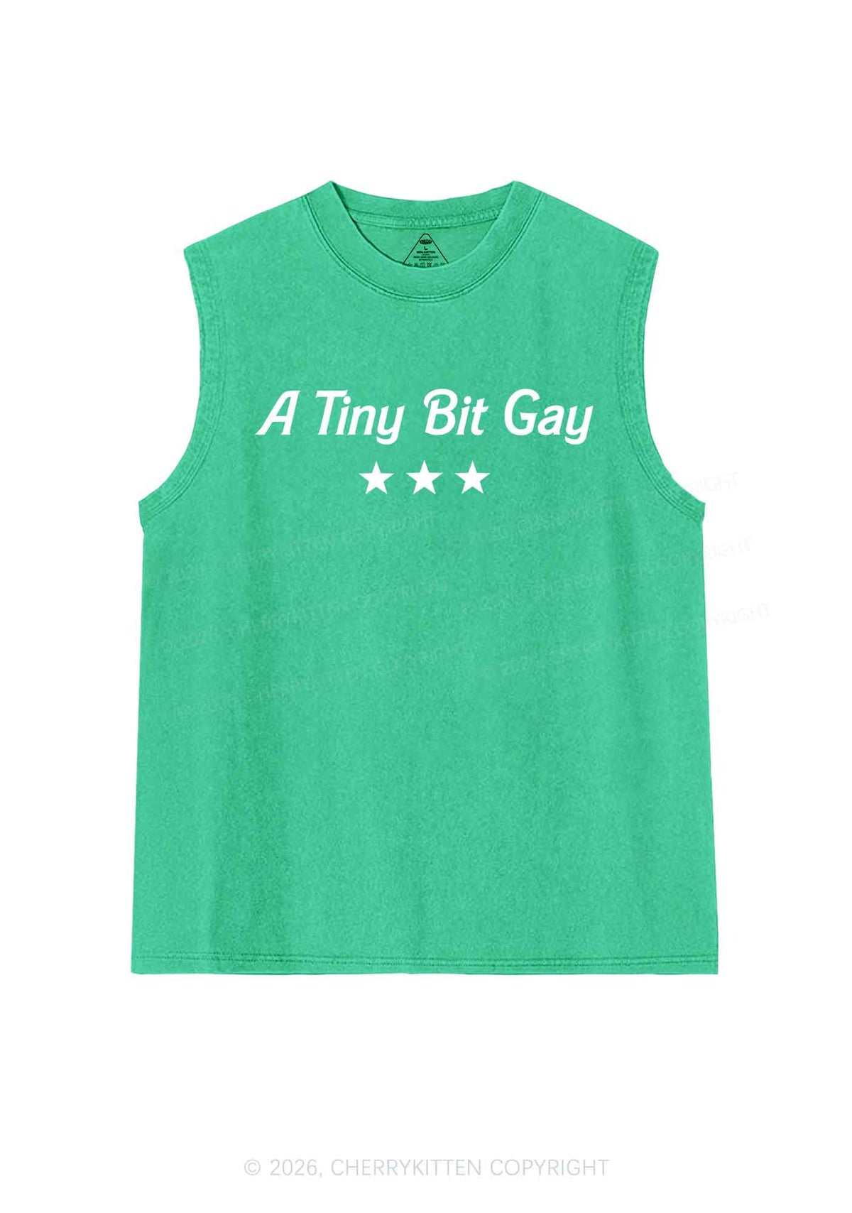 A Tiny Bit Gay Pride Y2K Washed Muscle Tank Cherrykitten