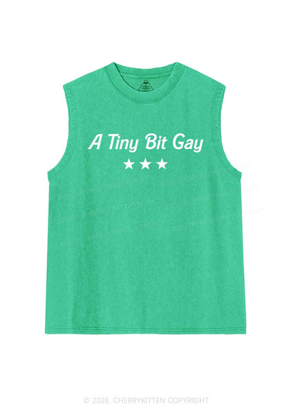 A Tiny Bit Gay Pride Y2K Washed Muscle Tank Cherrykitten