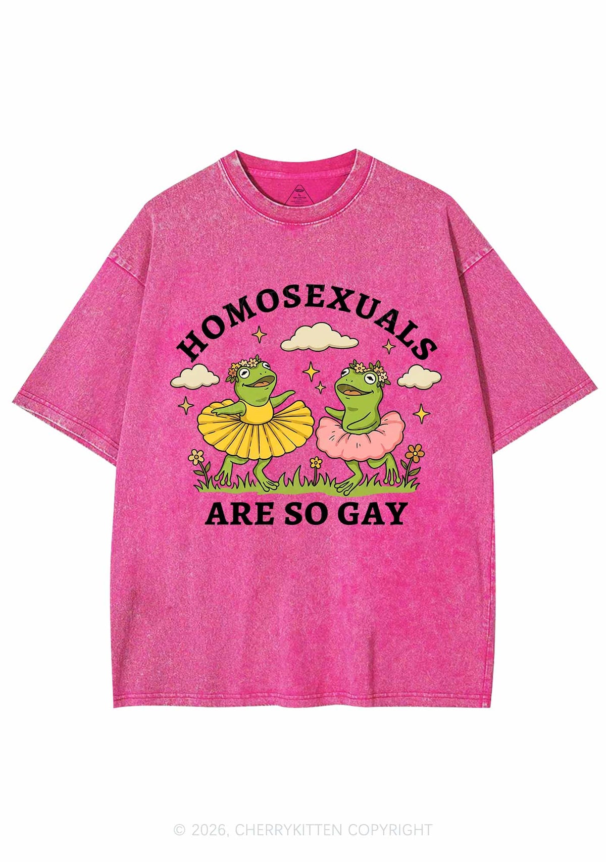 Homosexuals Are So Gay Pride Y2K Shirts Washed Tee Cherrykitten