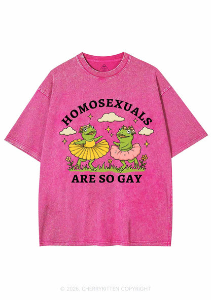 Homosexuals Are So Gay Pride Y2K Shirts Washed Tee Cherrykitten