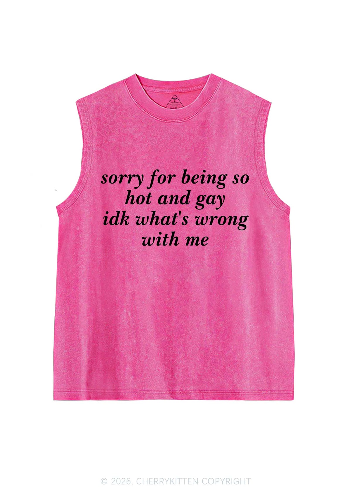 Sorry For Being Gay Pride Y2K Washed Muscle Tank Cherrykitten