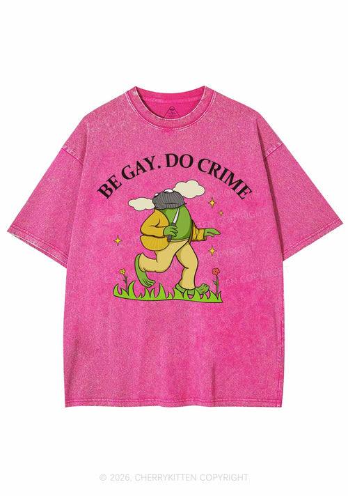 Be Gay Do Crime Frog Pride Y2K Shirts Washed Tee Cherrykitten