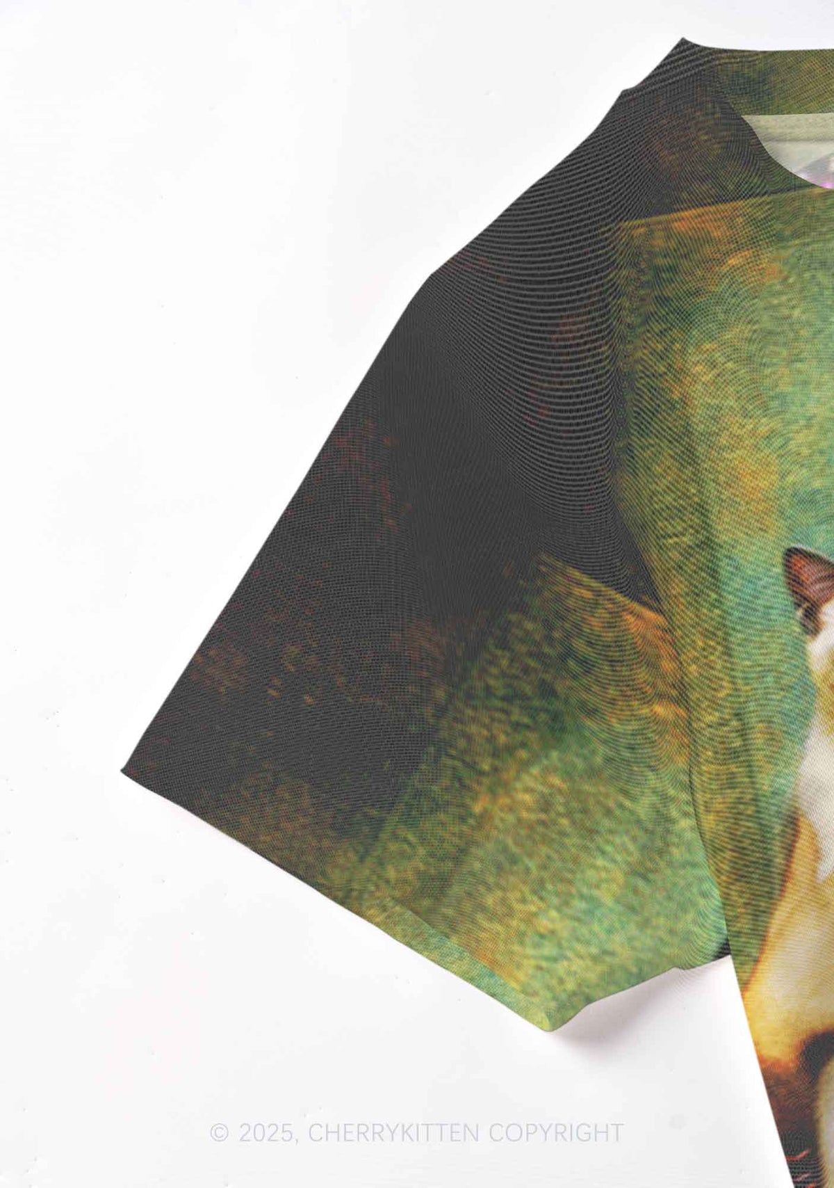 Renaissance Lady With Cat Y2K Mesh Crop Top Cherrykitten