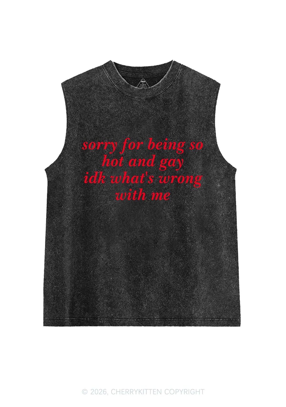 Sorry For Being Gay Pride Y2K Washed Muscle Tank Cherrykitten