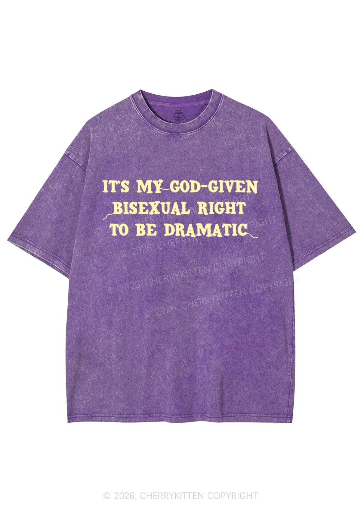 God Given Bisexual Right Pride Y2K Shirts Washed Tee Cherrykitten