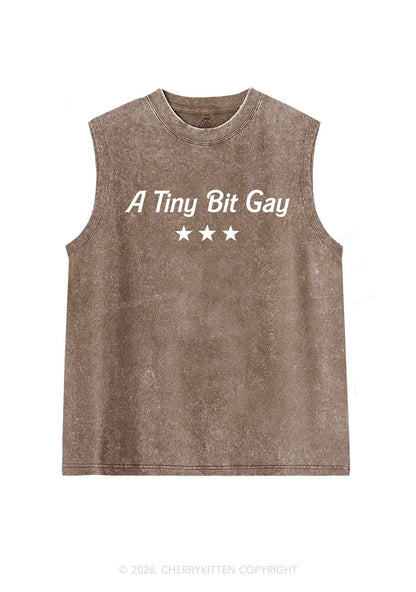 A Tiny Bit Gay Pride Y2K Washed Muscle Tank Cherrykitten