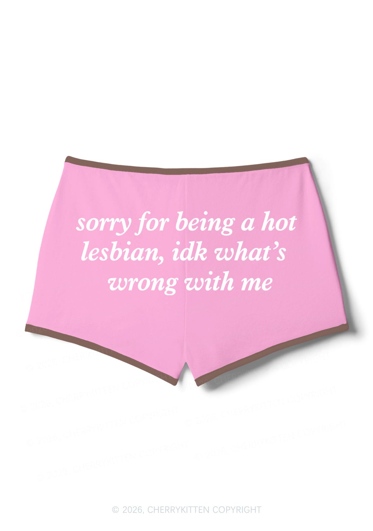 Sorry For Being Hot Lesbian Pride Y2K Booty Shorts Cherrykitten