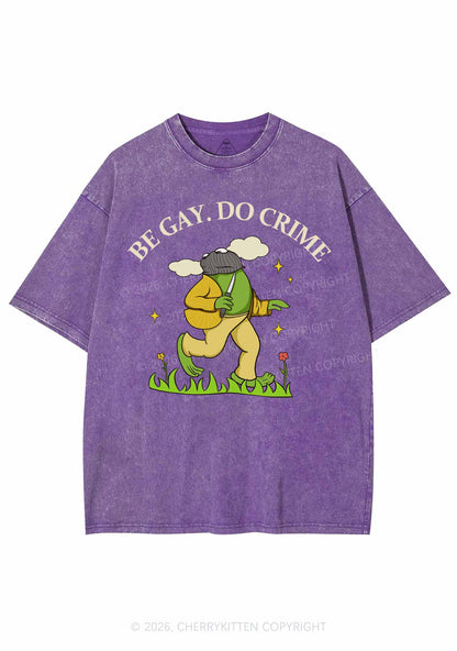 Be Gay Do Crime Frog Pride Y2K Shirts Washed Tee Cherrykitten
