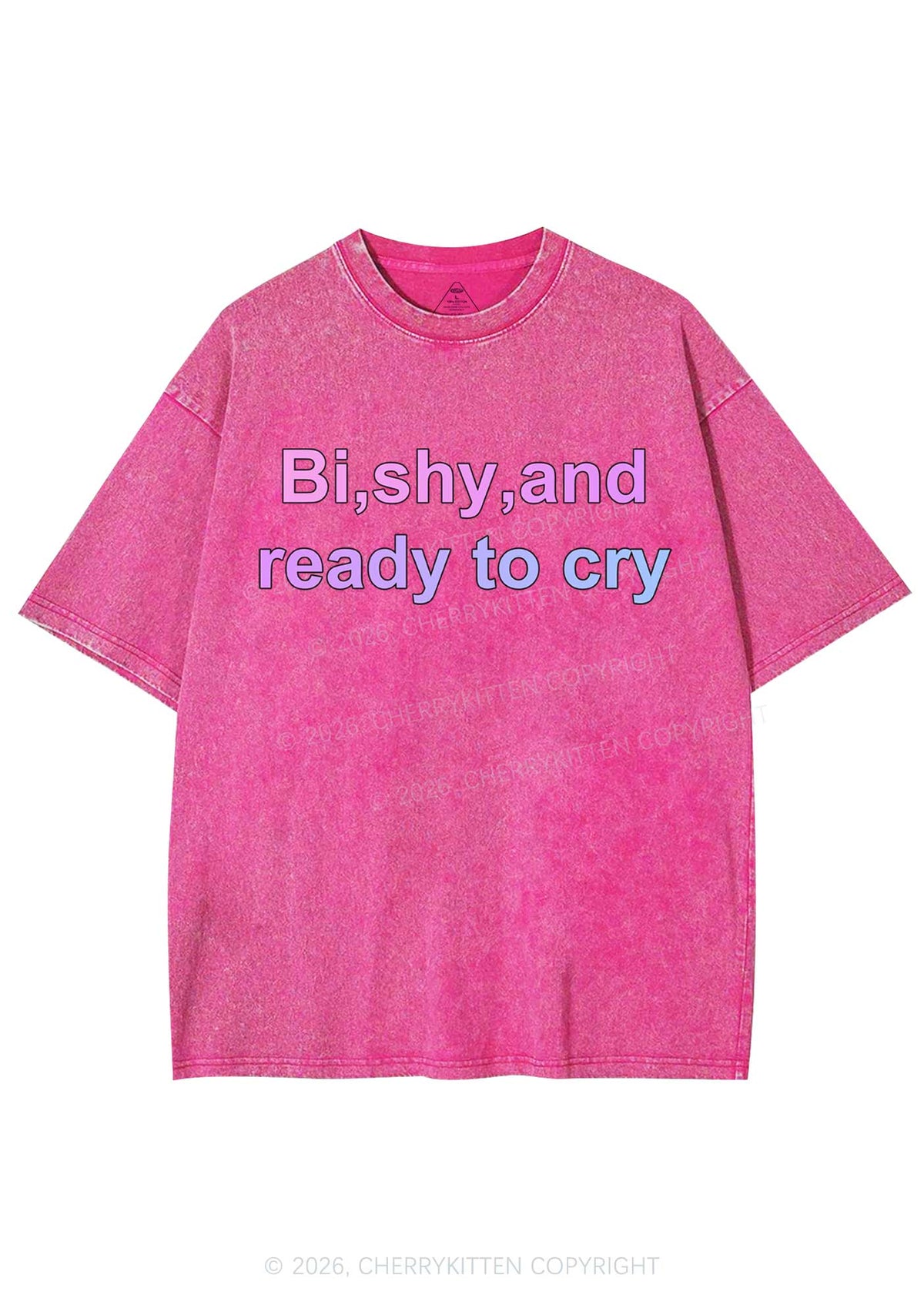 Bi Shy And Ready To Cry Pride Y2K Shirts Washed Tee Cherrykitten