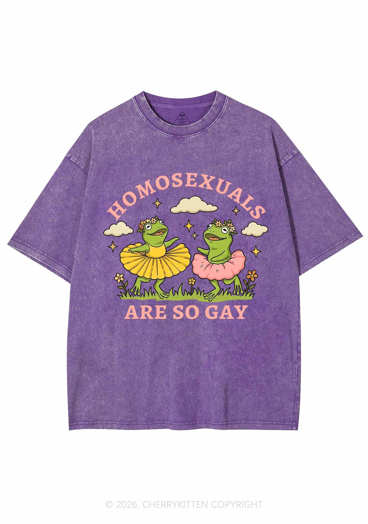 Homosexuals Are So Gay Pride Y2K Shirts Washed Tee Cherrykitten