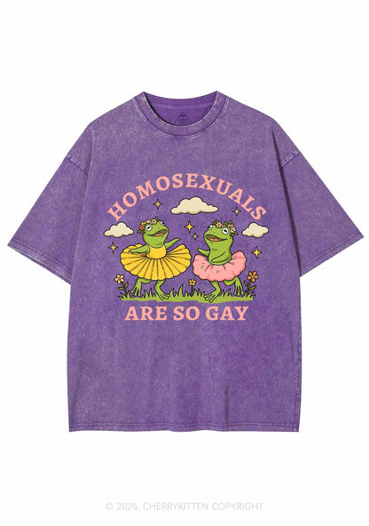 Homosexuals Are So Gay Pride Y2K Shirts Washed Tee Cherrykitten