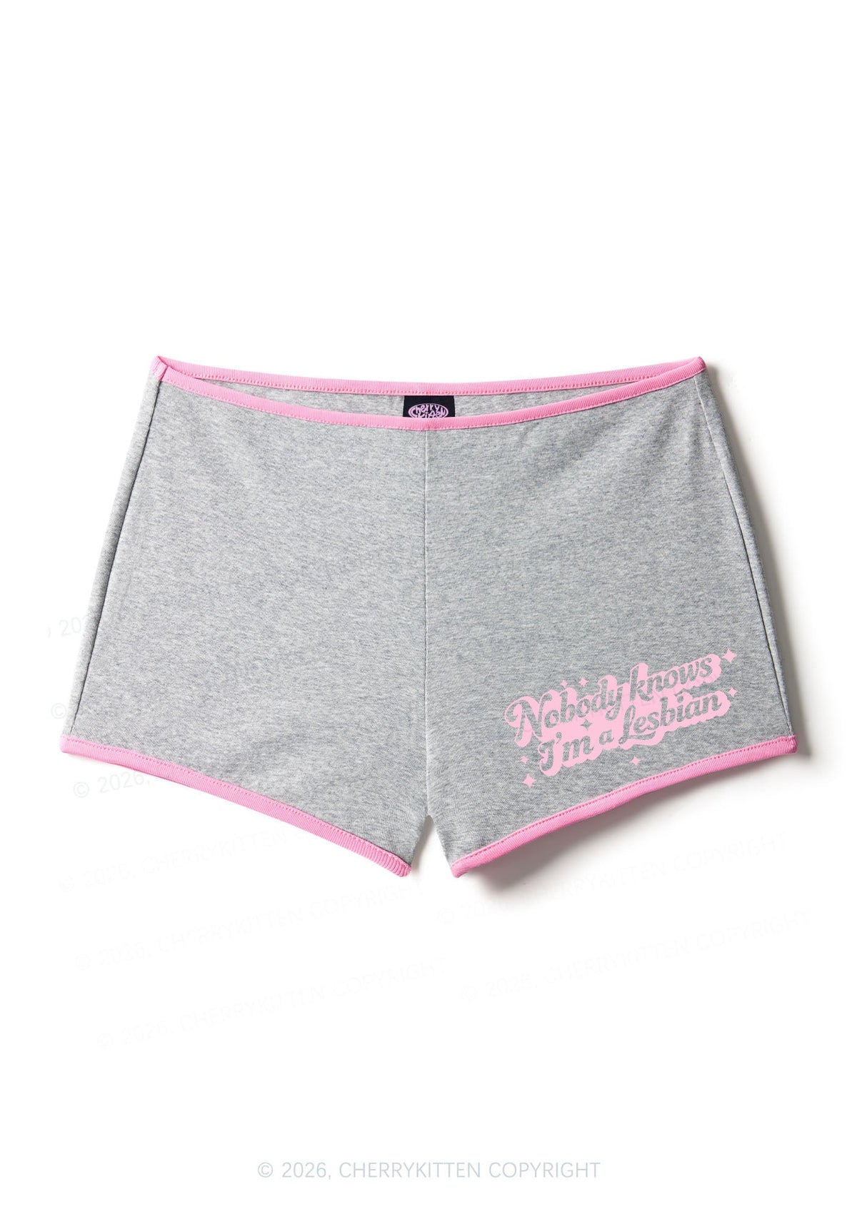 Nobody Knows Im A Lesbian Pride Y2K Booty Shorts Cherrykitten