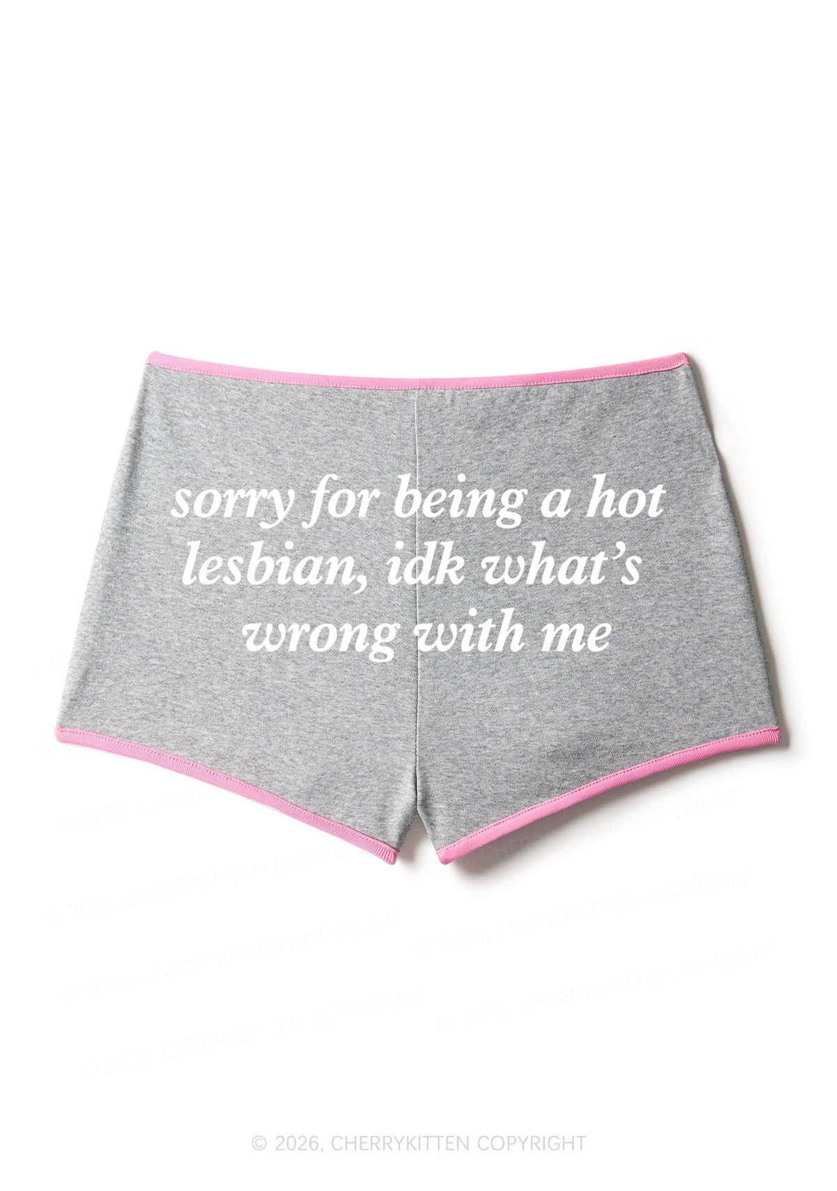 Sorry For Being Hot Lesbian Pride Y2K Booty Shorts Cherrykitten