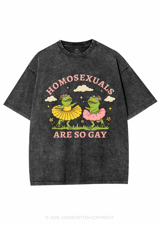 Homosexuals Are So Gay Pride Y2K Shirts Washed Tee Cherrykitten