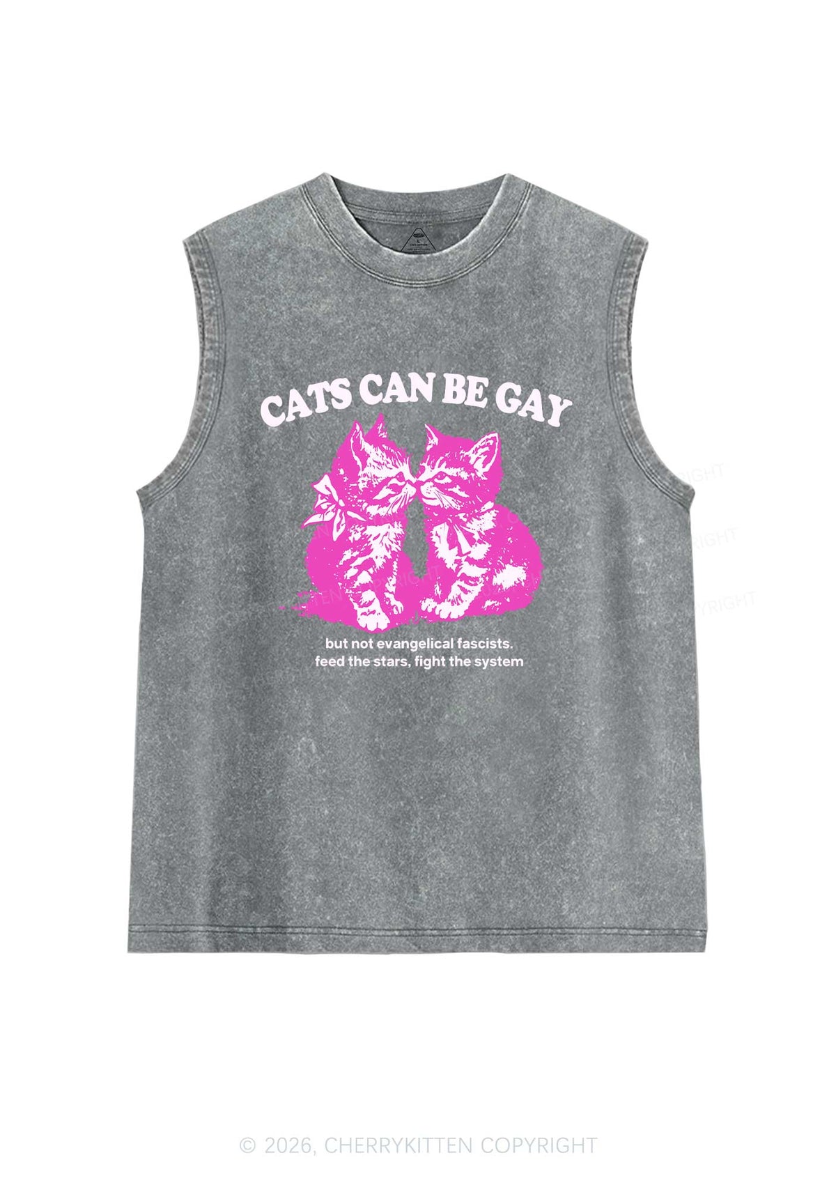Cat Can Be Gay Pride Y2K Washed Muscle Tank Cherrykitten