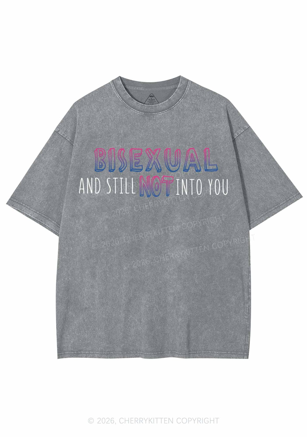 Bisexual And Still Not Into You Pride Y2K Shirts Washed Tee Cherrykitten