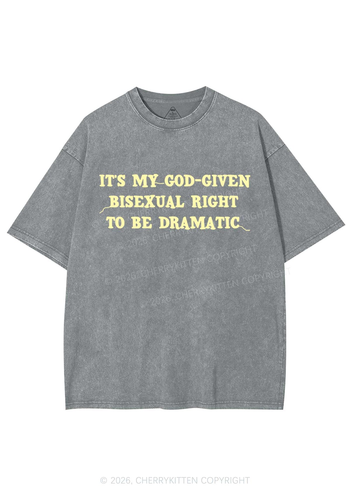 God Given Bisexual Right Pride Y2K Shirts Washed Tee Cherrykitten