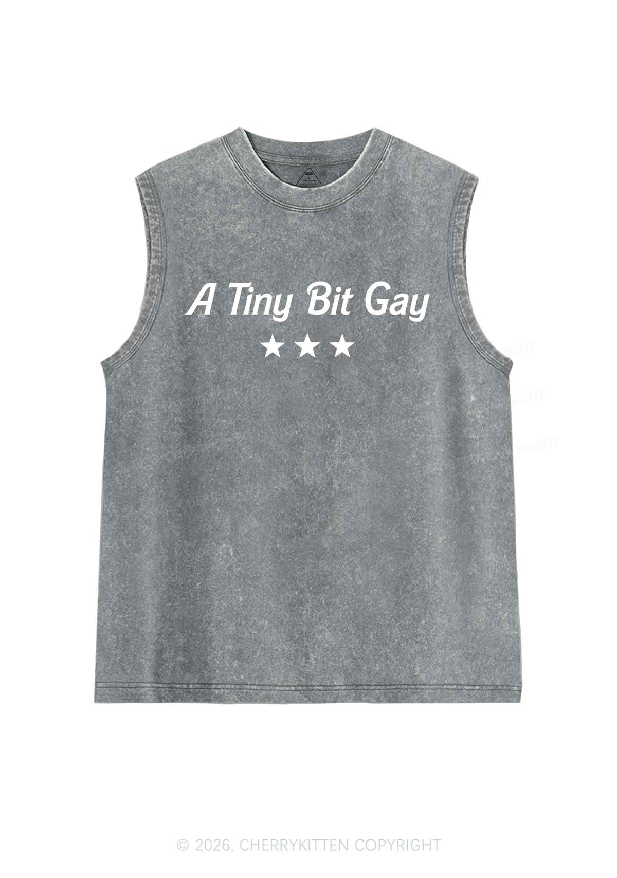 A Tiny Bit Gay Pride Y2K Washed Muscle Tank Cherrykitten