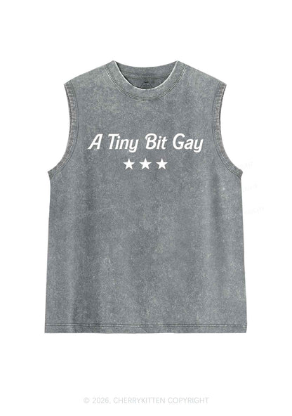 A Tiny Bit Gay Pride Y2K Washed Muscle Tank Cherrykitten