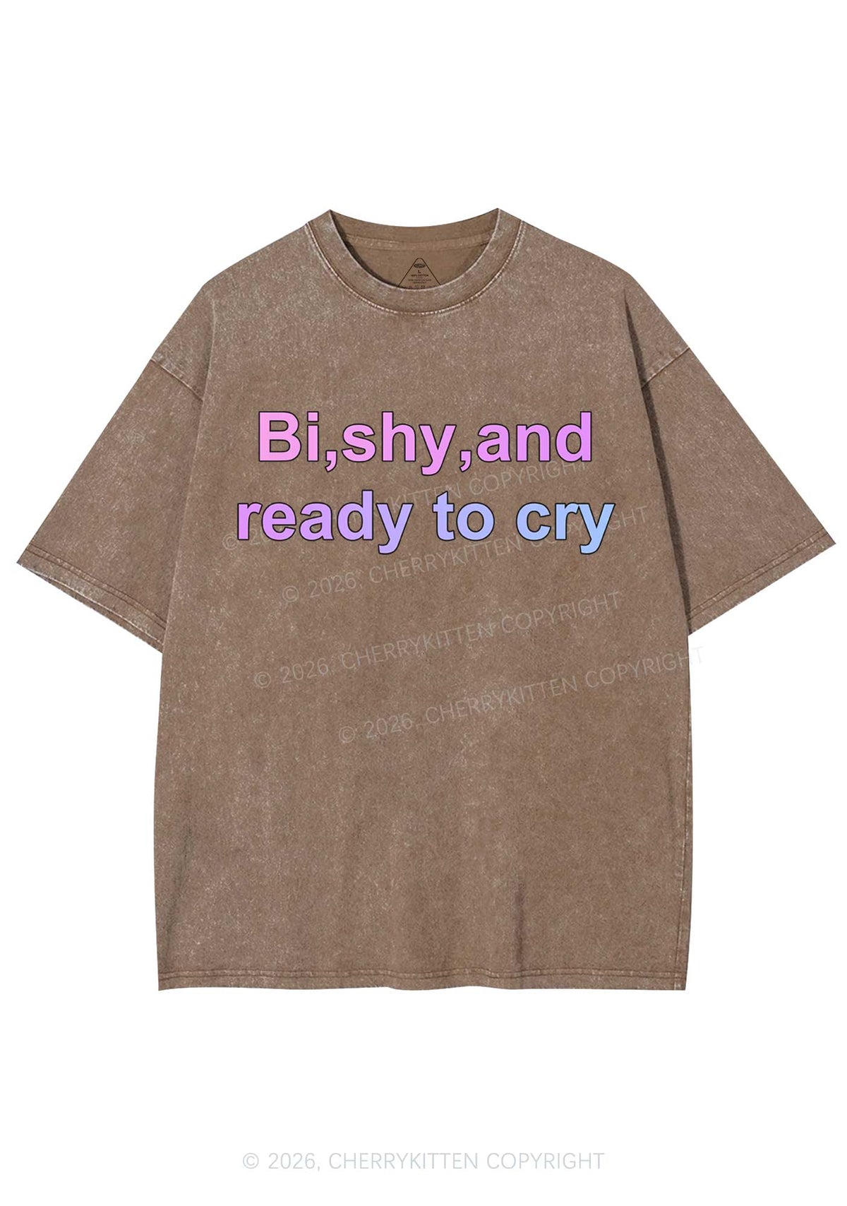 Bi Shy And Ready To Cry Pride Y2K Shirts Washed Tee Cherrykitten