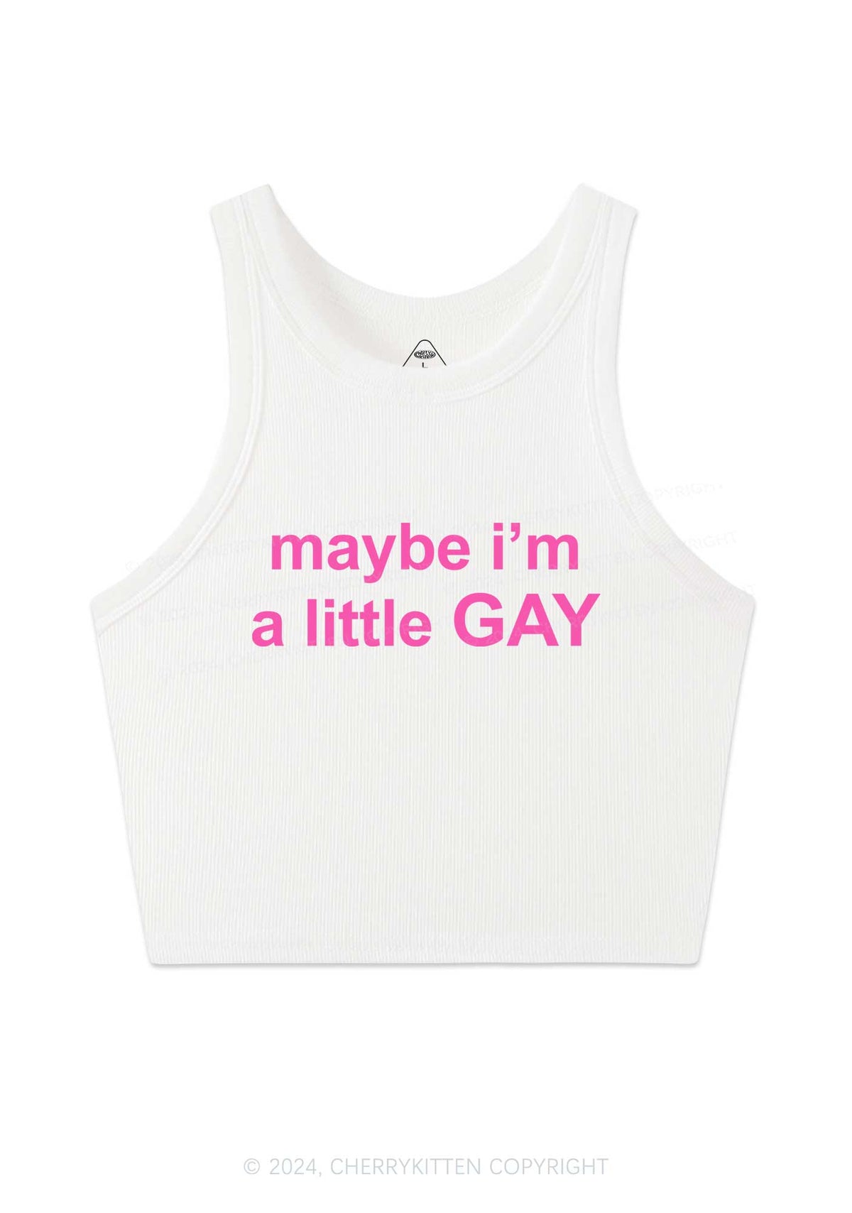 Maybe I'm A Gay Y2K Crop Tank Top Cherrykitten