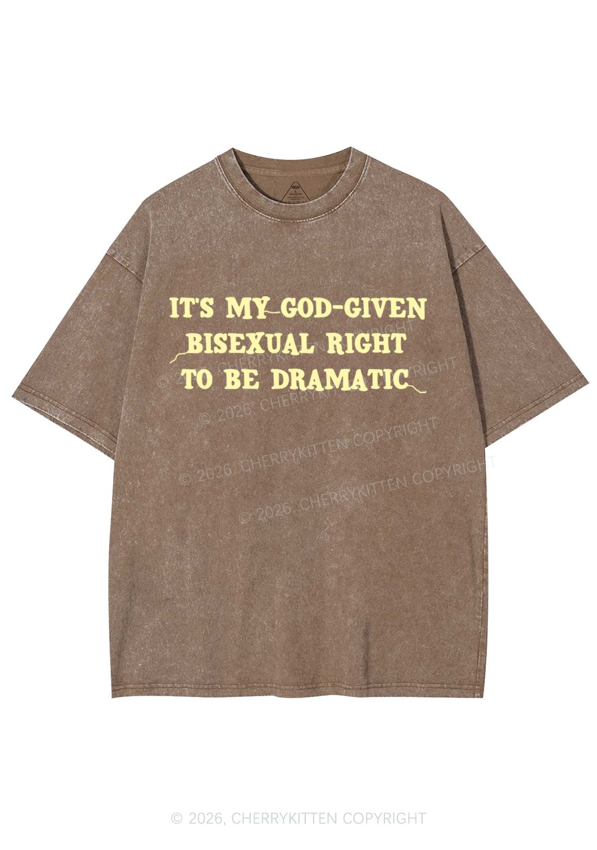 God Given Bisexual Right Pride Y2K Shirts Washed Tee Cherrykitten