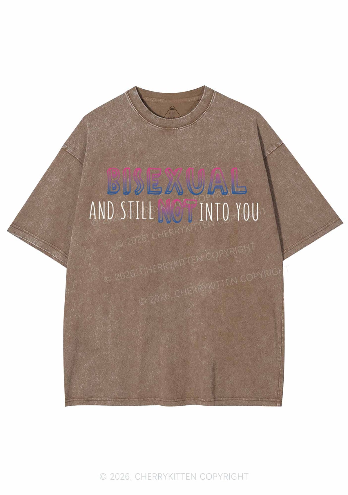 Bisexual And Still Not Into You Pride Y2K Shirts Washed Tee Cherrykitten