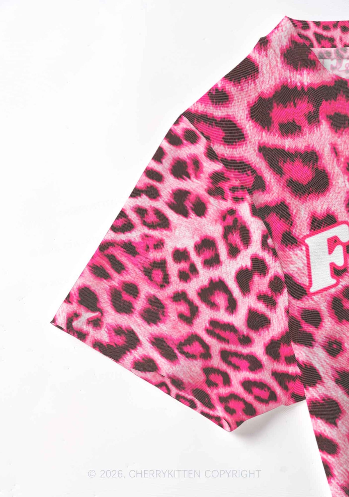 Pink Leopard Faggot Pride Y2K Mesh Crop Top Cherrykitten