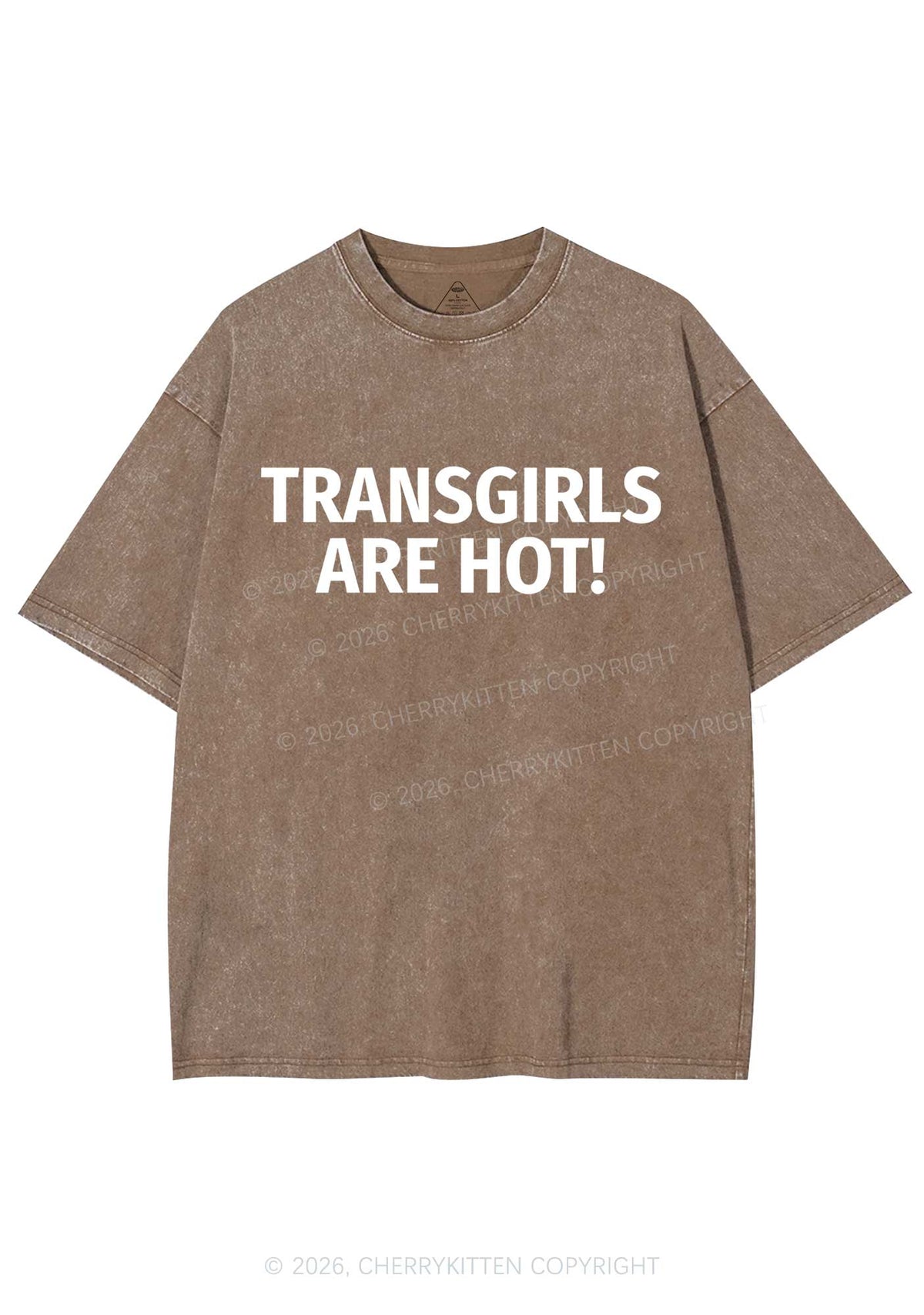 Transgirls Are Hot Pride Y2K Shirts Washed Tee Cherrykitten