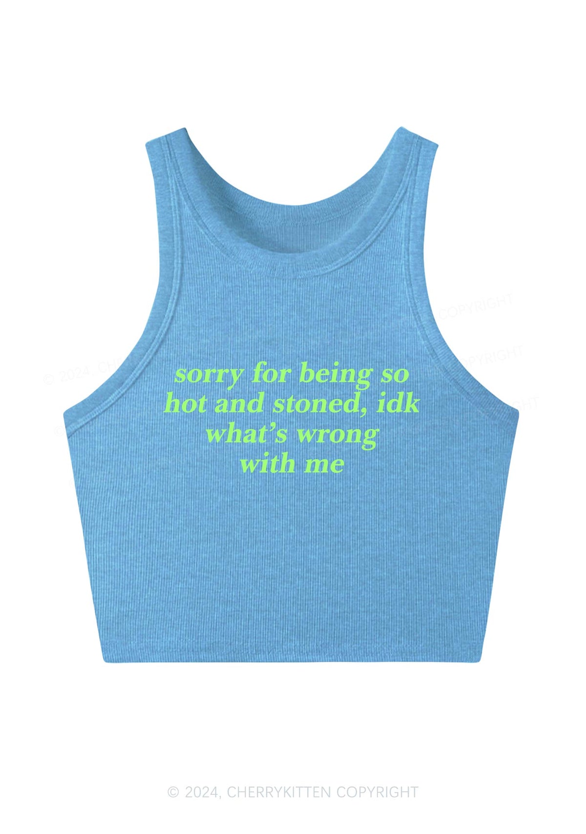 Sorry For Being Hot And Stoned Y2K Crop Tank Top Cherrykitten