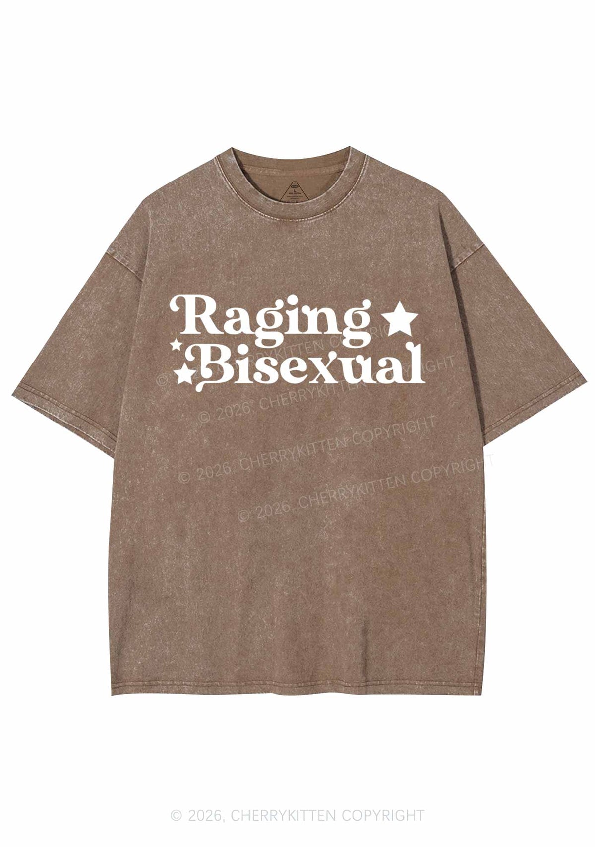 Raging Bisexual Stars Pride Y2K Shirts Washed Tee Cherrykitten