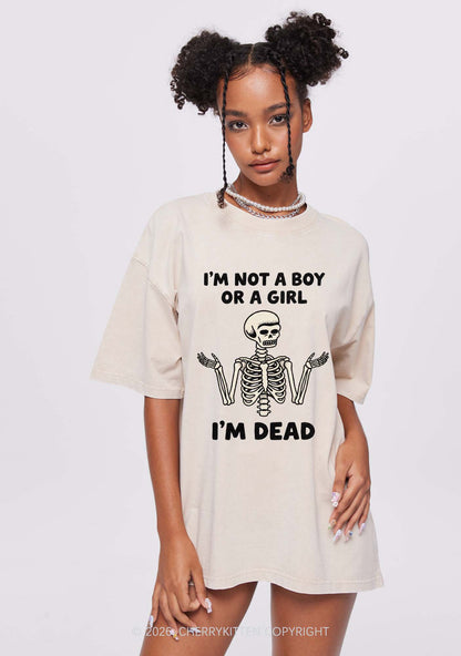 Im Not A Boy Or A Girl Pride Y2K Shirts Washed Tee Cherrykitten