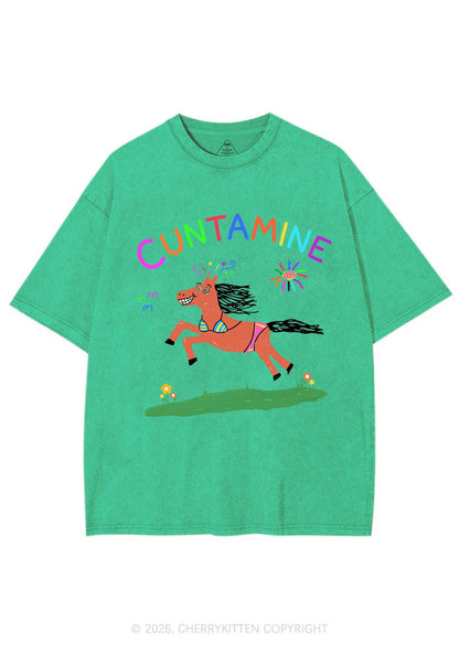 Cxxtamine Pony Y2K Shirts Washed Tee Cherrykitten
