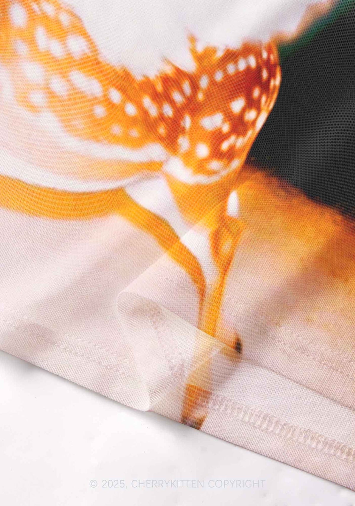 Deer Wings Y2K Mesh Crop Top Cherrykitten