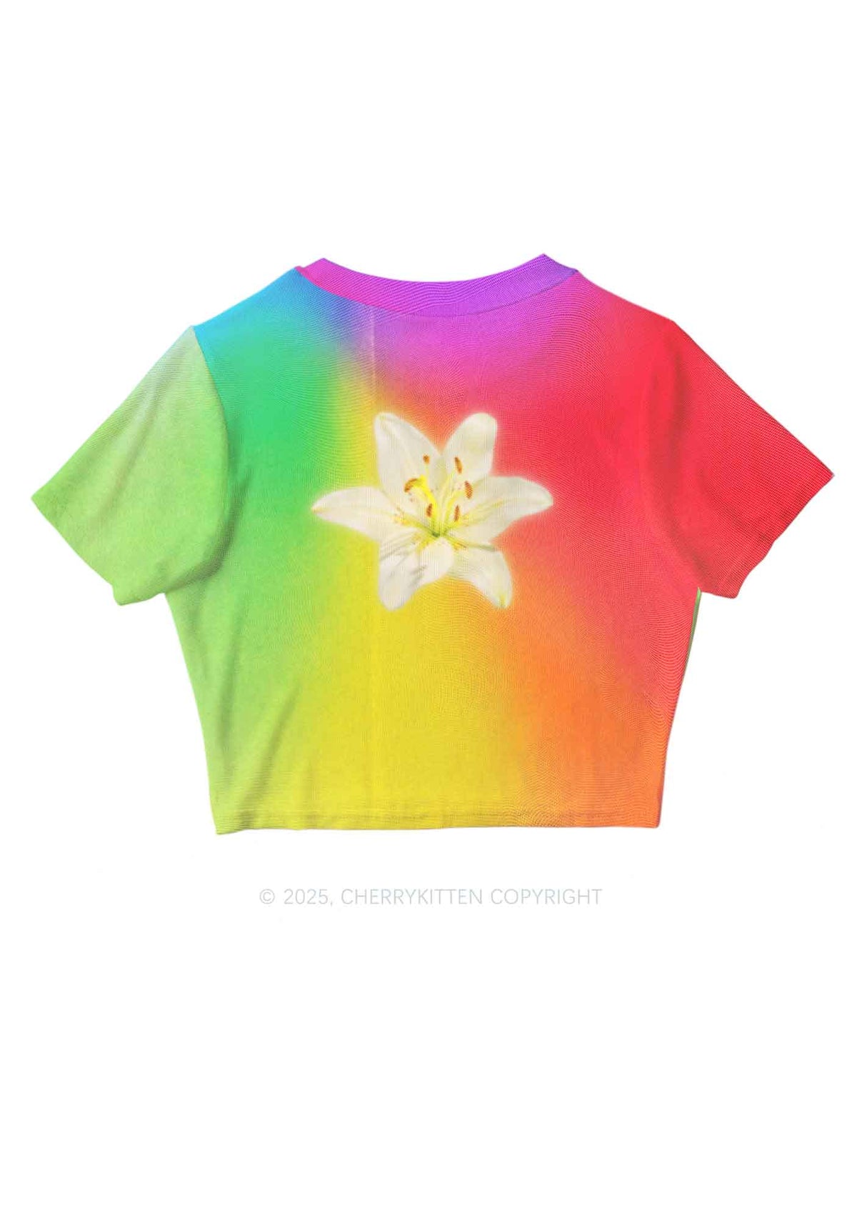 Lily in Rainbow Pride Y2K Mesh Crop Top Cherrykitten