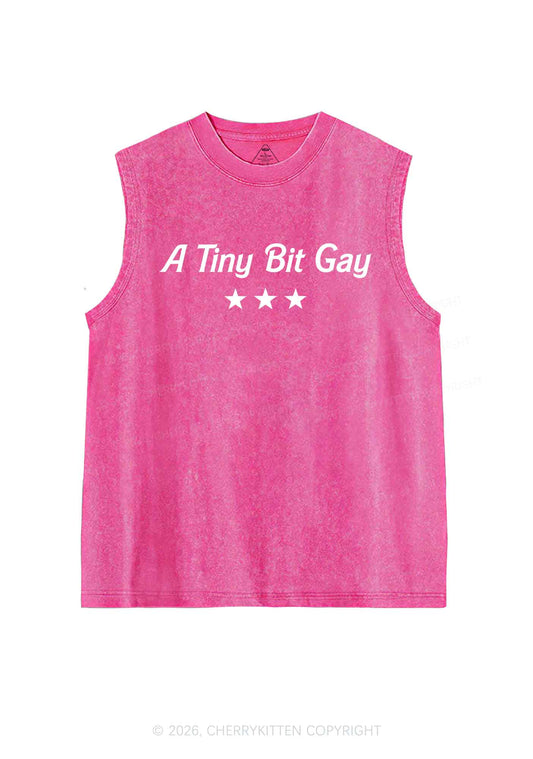 A Tiny Bit Gay Pride Y2K Washed Muscle Tank Cherrykitten