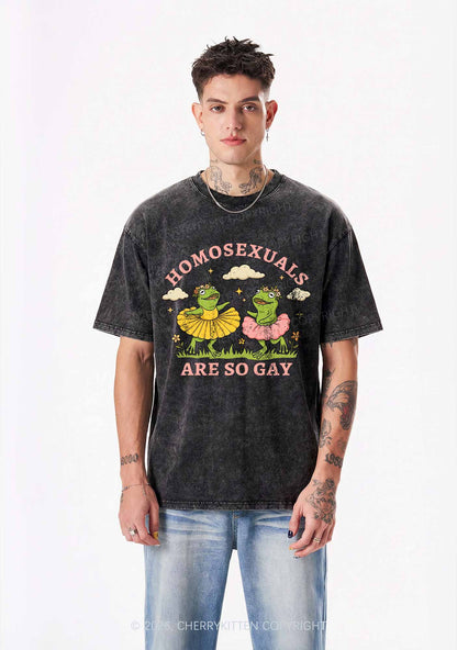 Homosexuals Are So Gay Pride Y2K Shirts Washed Tee Cherrykitten