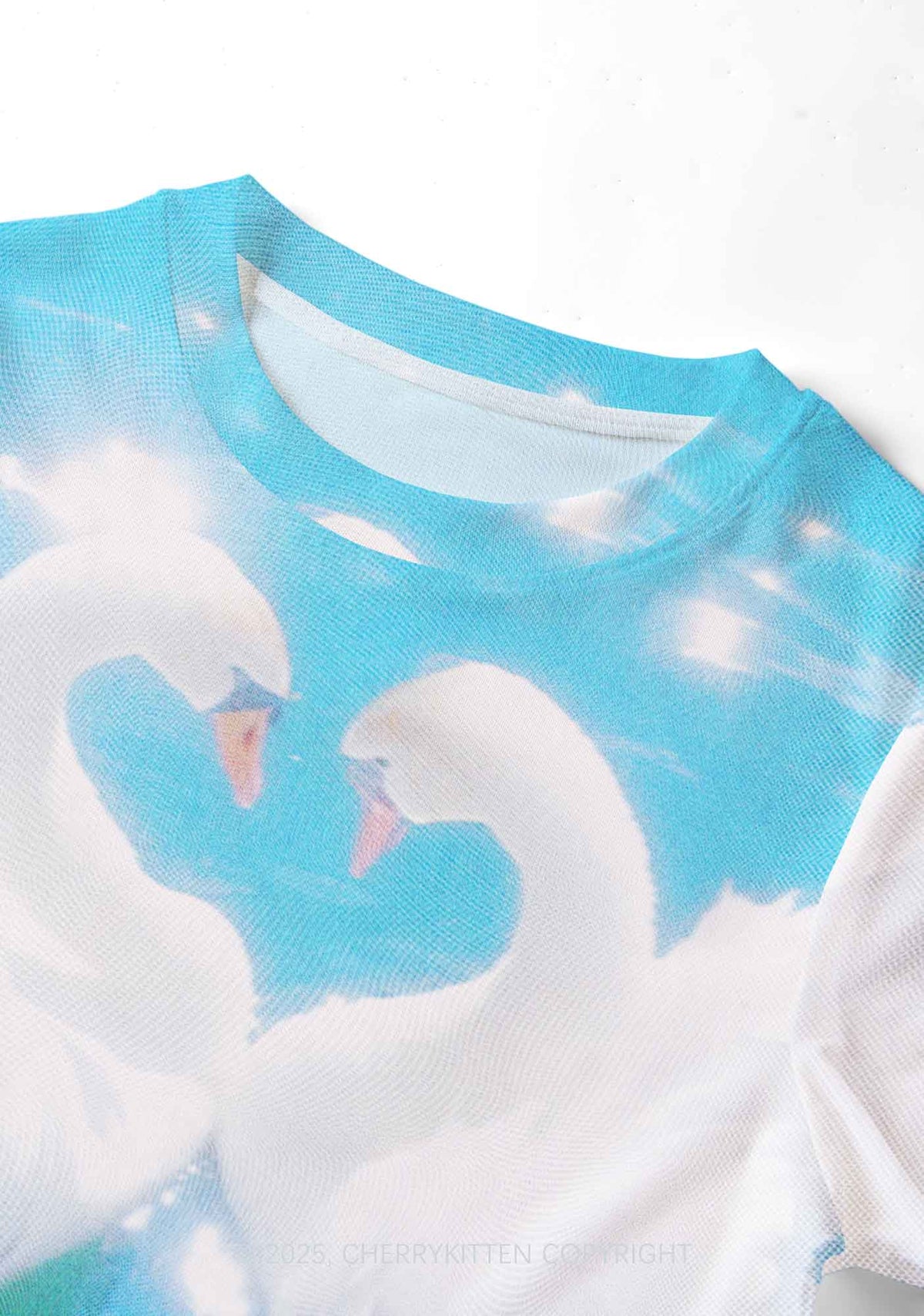 Swan Lovers Y2K Mesh Crop Top Cherrykitten