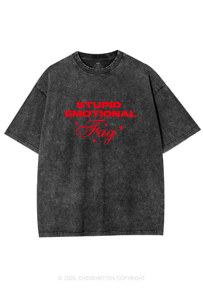 Stupid Emotional Fag Pride Y2K Shirts Washed Tee Cherrykitten