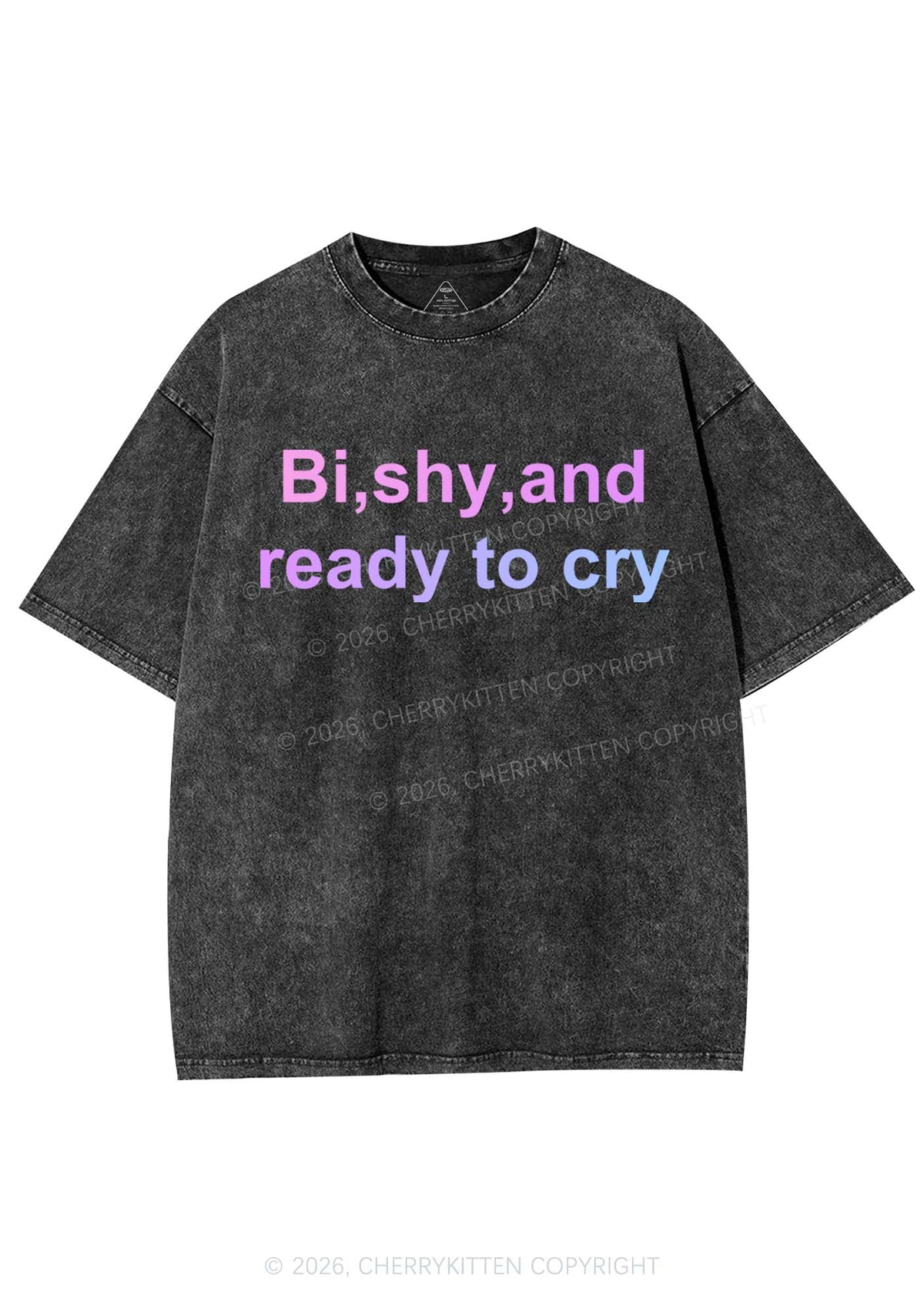 Bi Shy And Ready To Cry Pride Y2K Shirts Washed Tee Cherrykitten